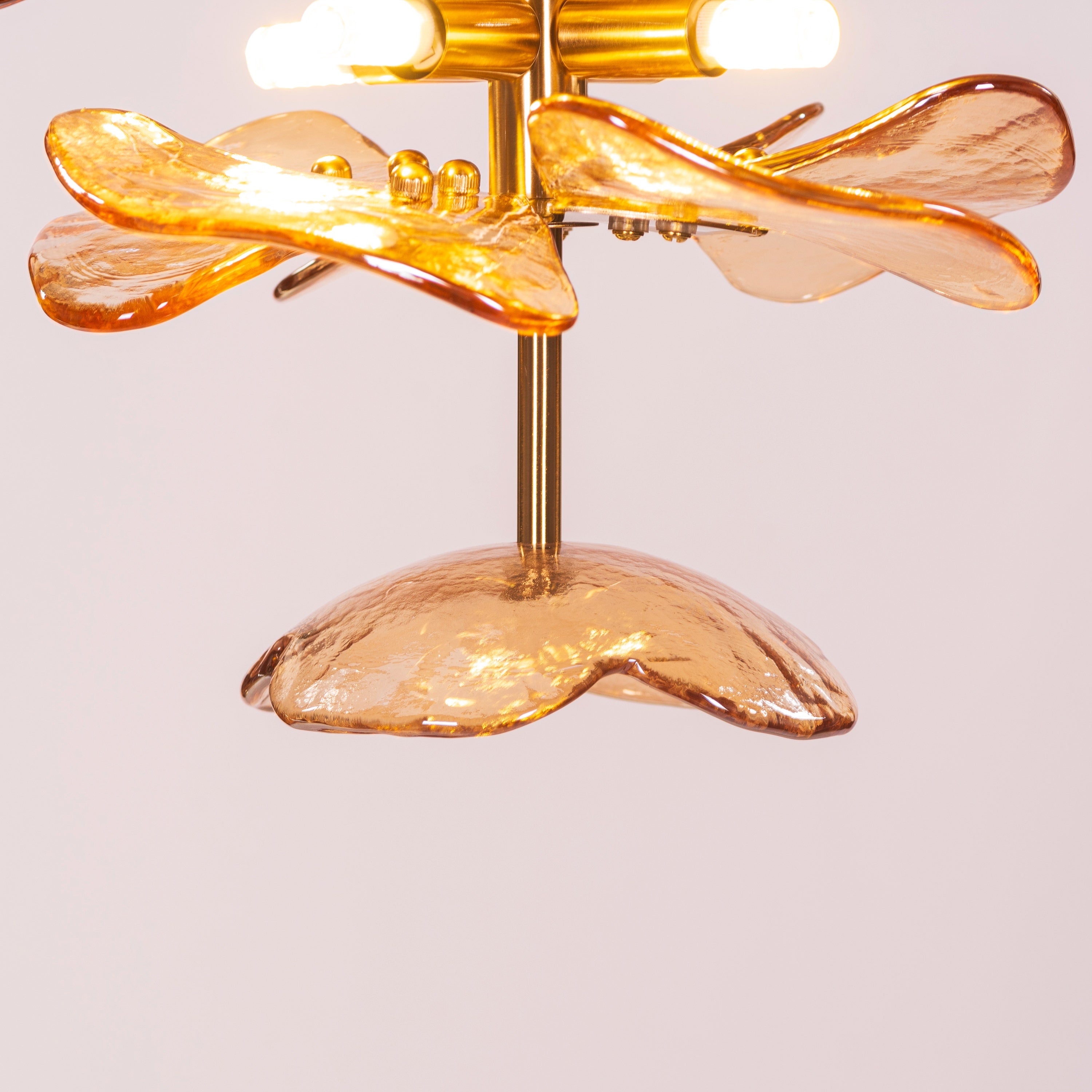 Luminous Lotus (Gold, Amber) Tinted Glass Pendant Light