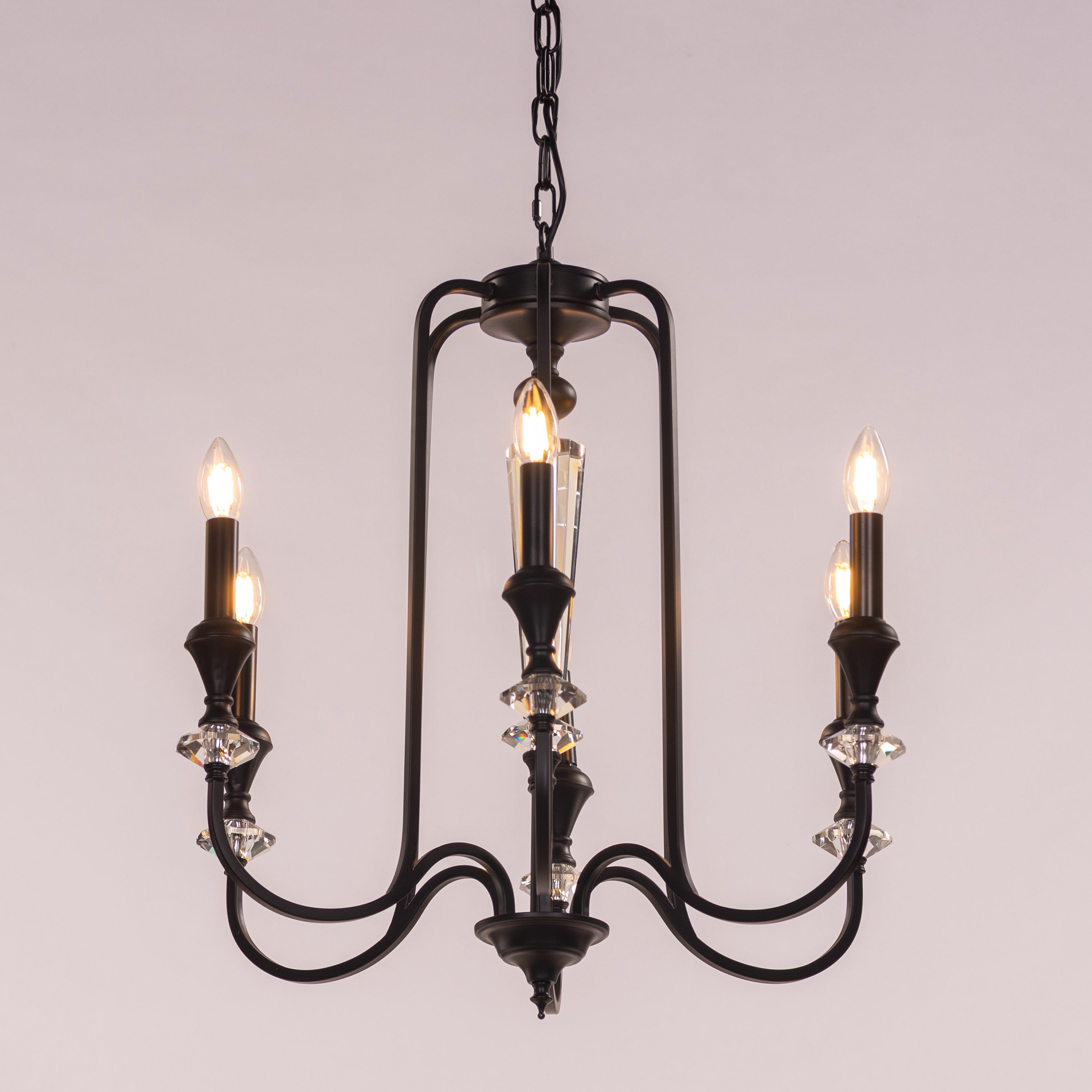 Prone To Cling (Black) Crystal Chandelier