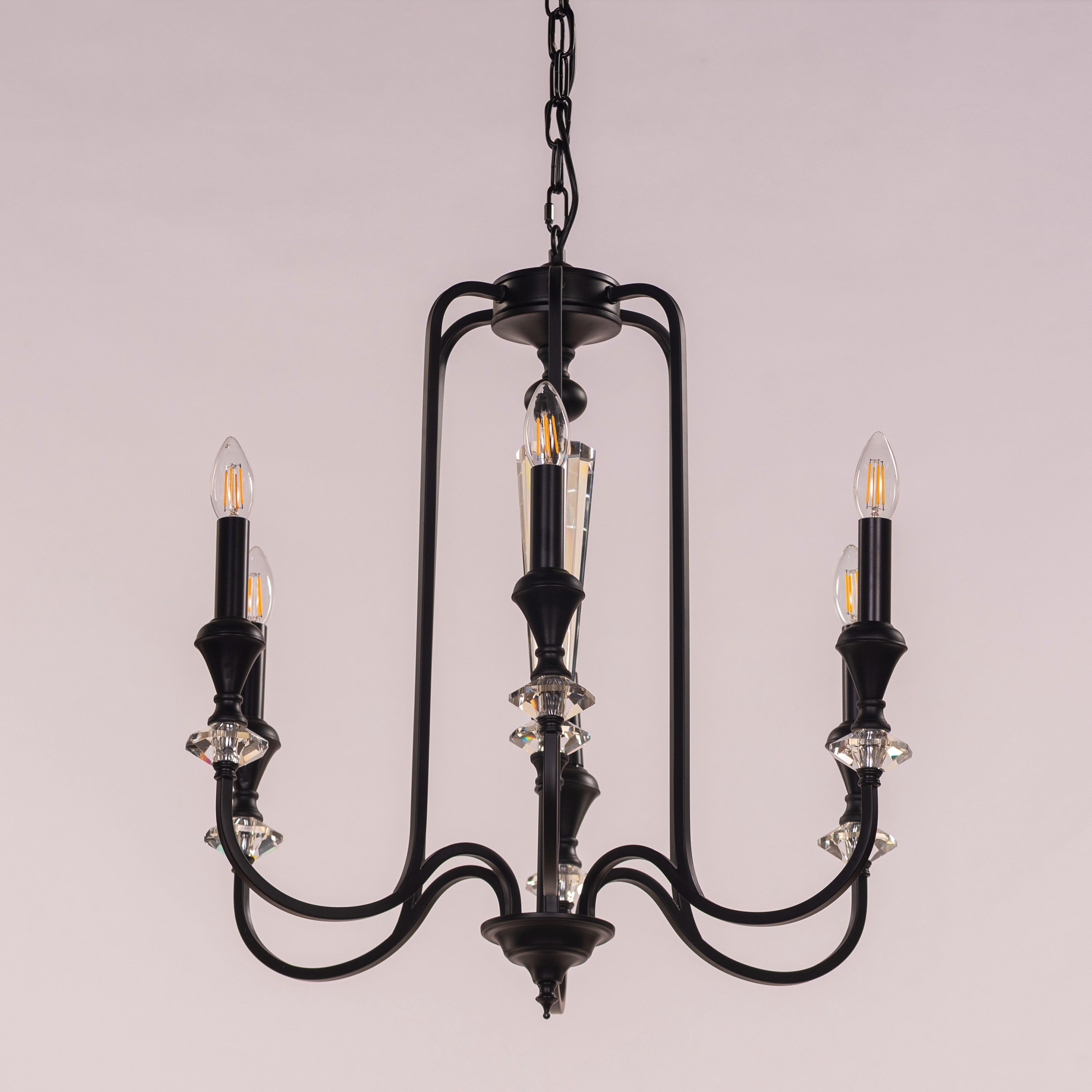 Prone To Cling (Black) Crystal Chandelier