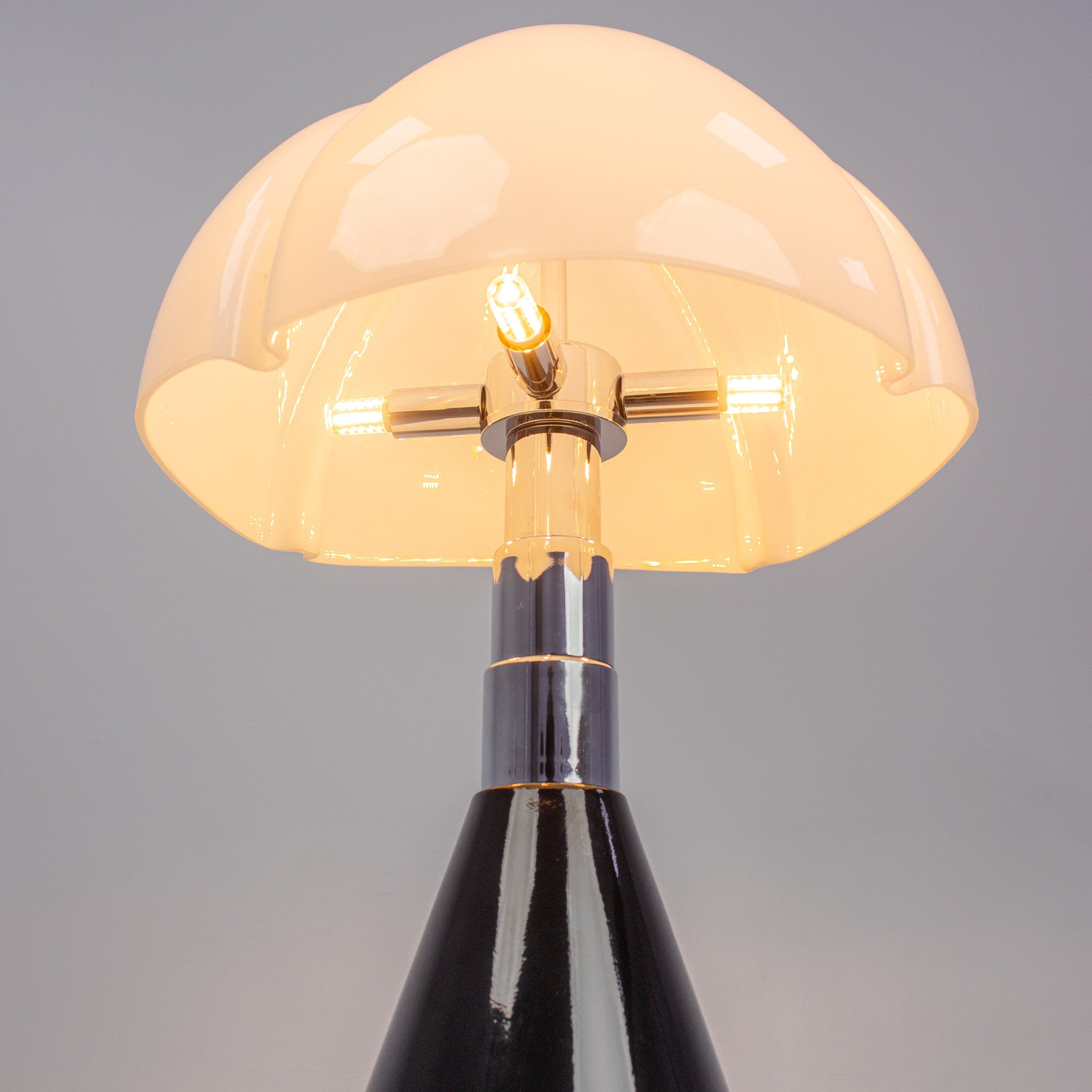Scallop Shell (Black) Table Lamp