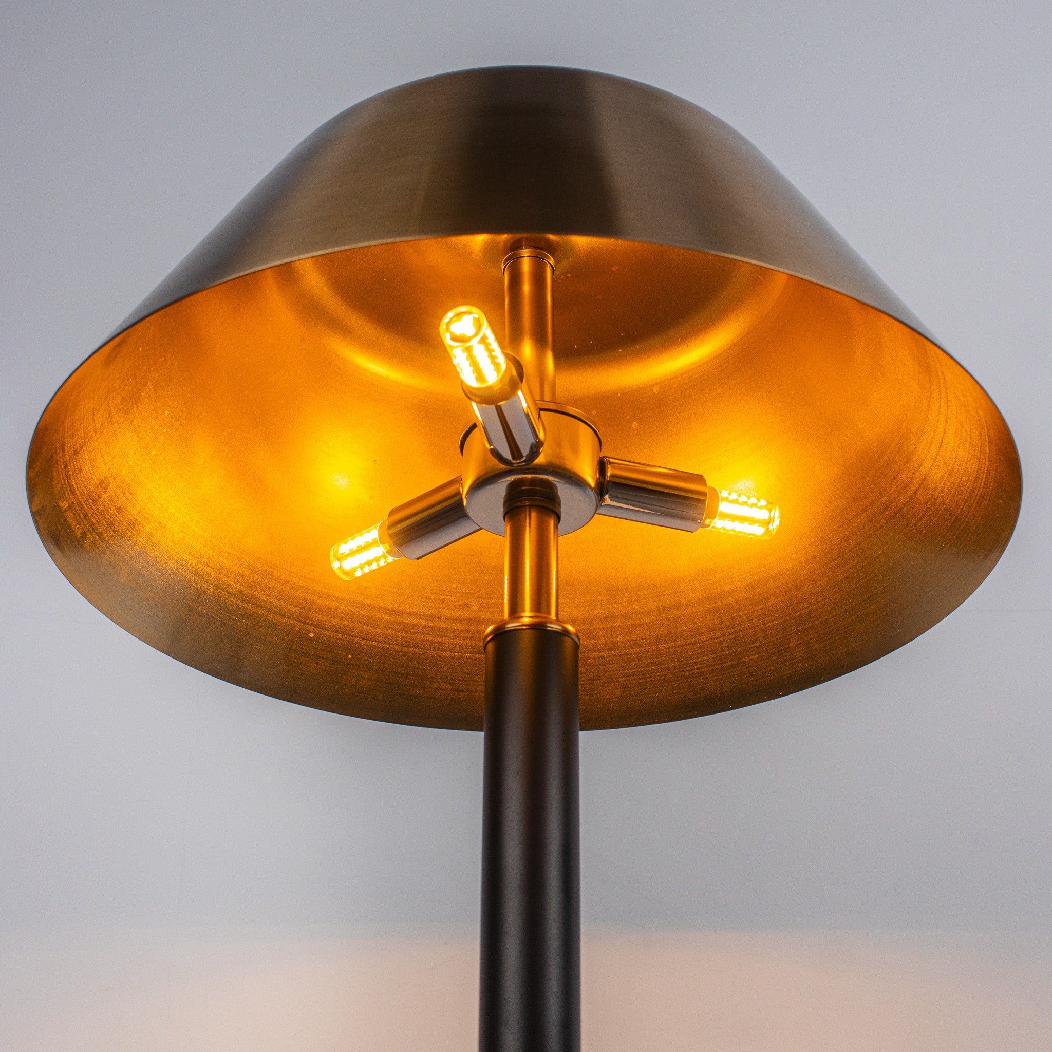Ebony Halo Table Lamp