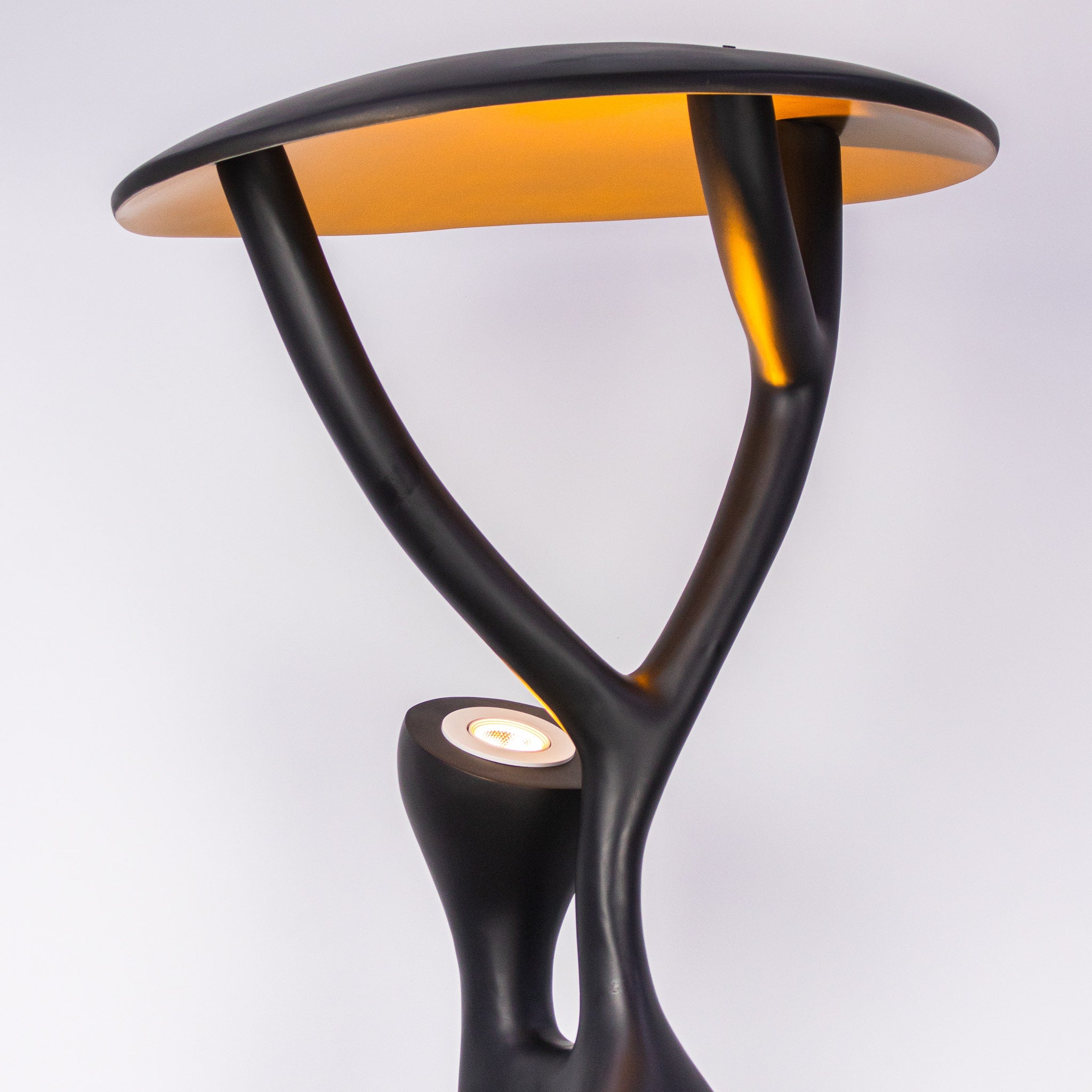 Fortune Favors The Bold Floor Lamp