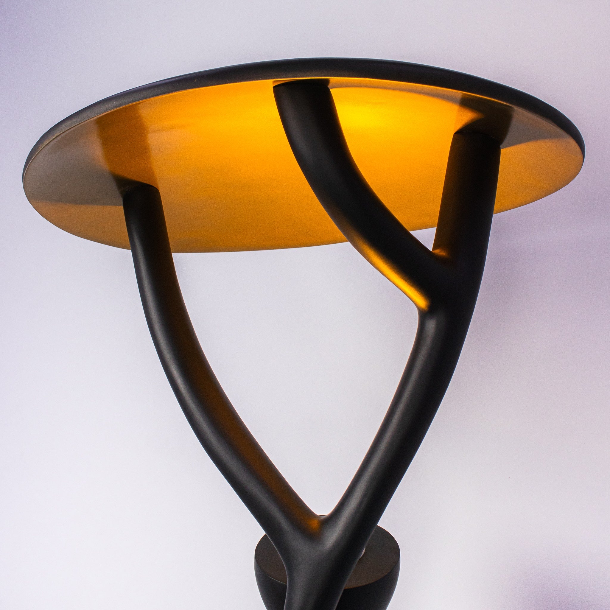 Fortune Favors The Bold Floor Lamp