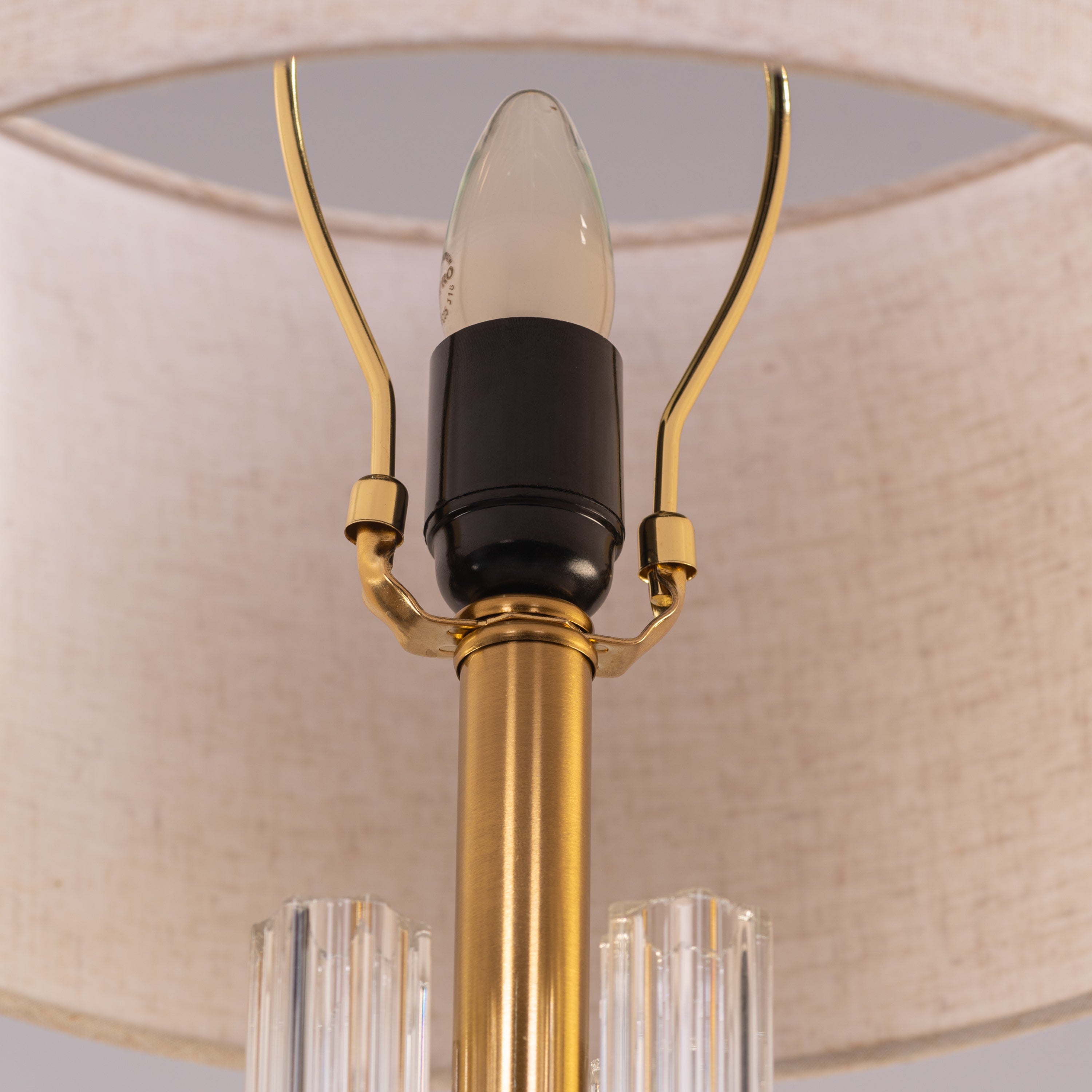 Shine Bright (Gold, Brown) Table Lamp