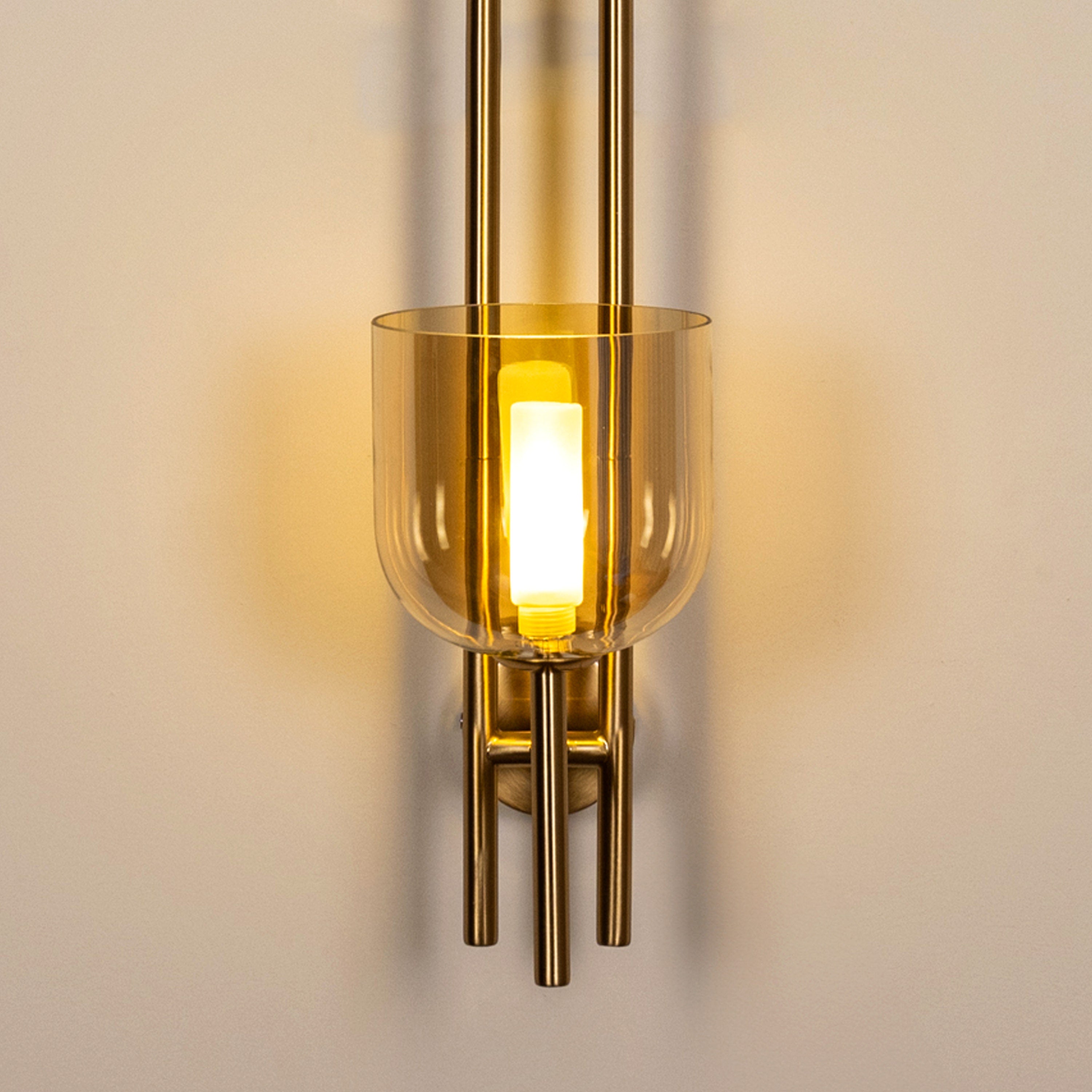 Moments Matter (Gold, Amber) Clear Glass Wall Light