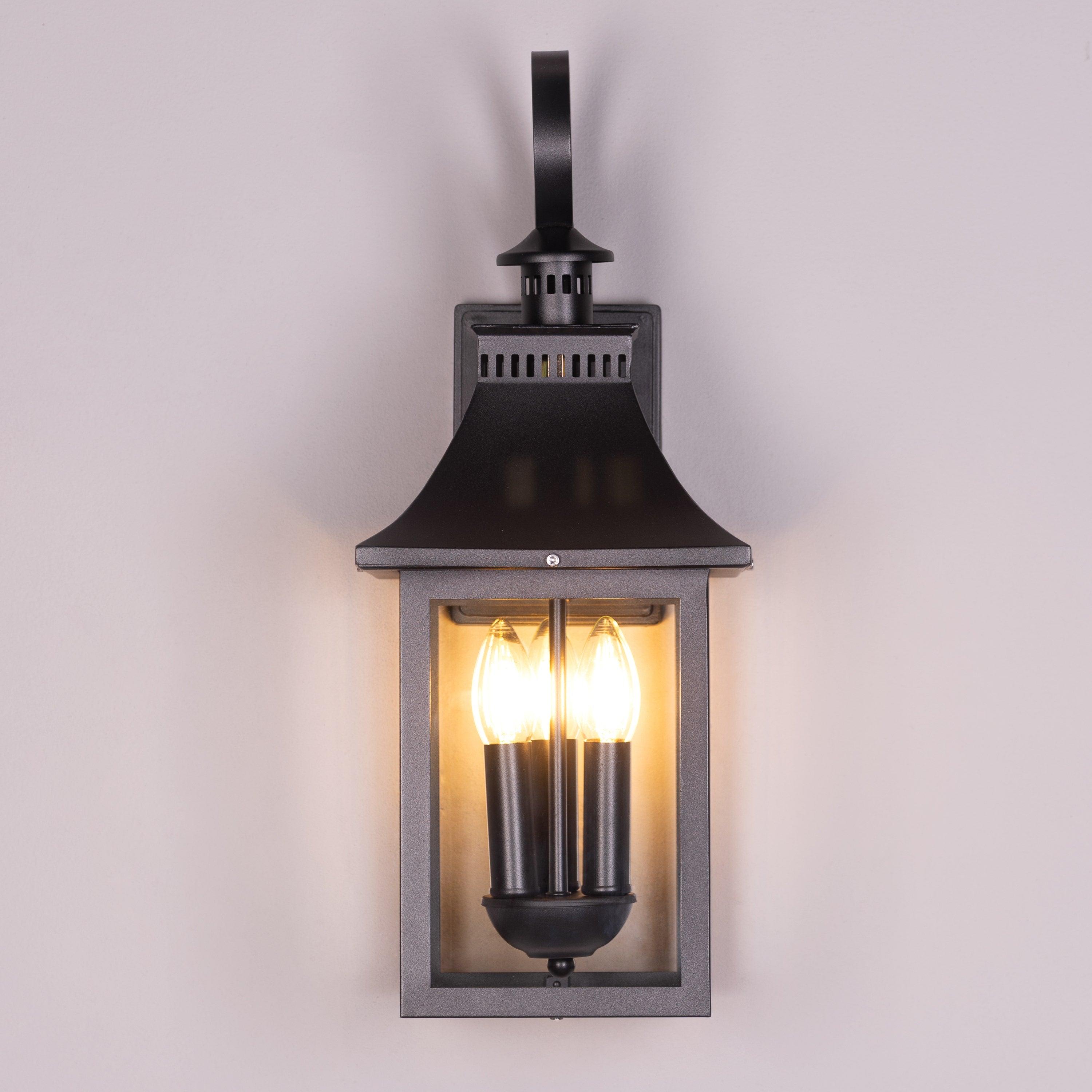 Good For You (Black) Clear Glass Wall Light