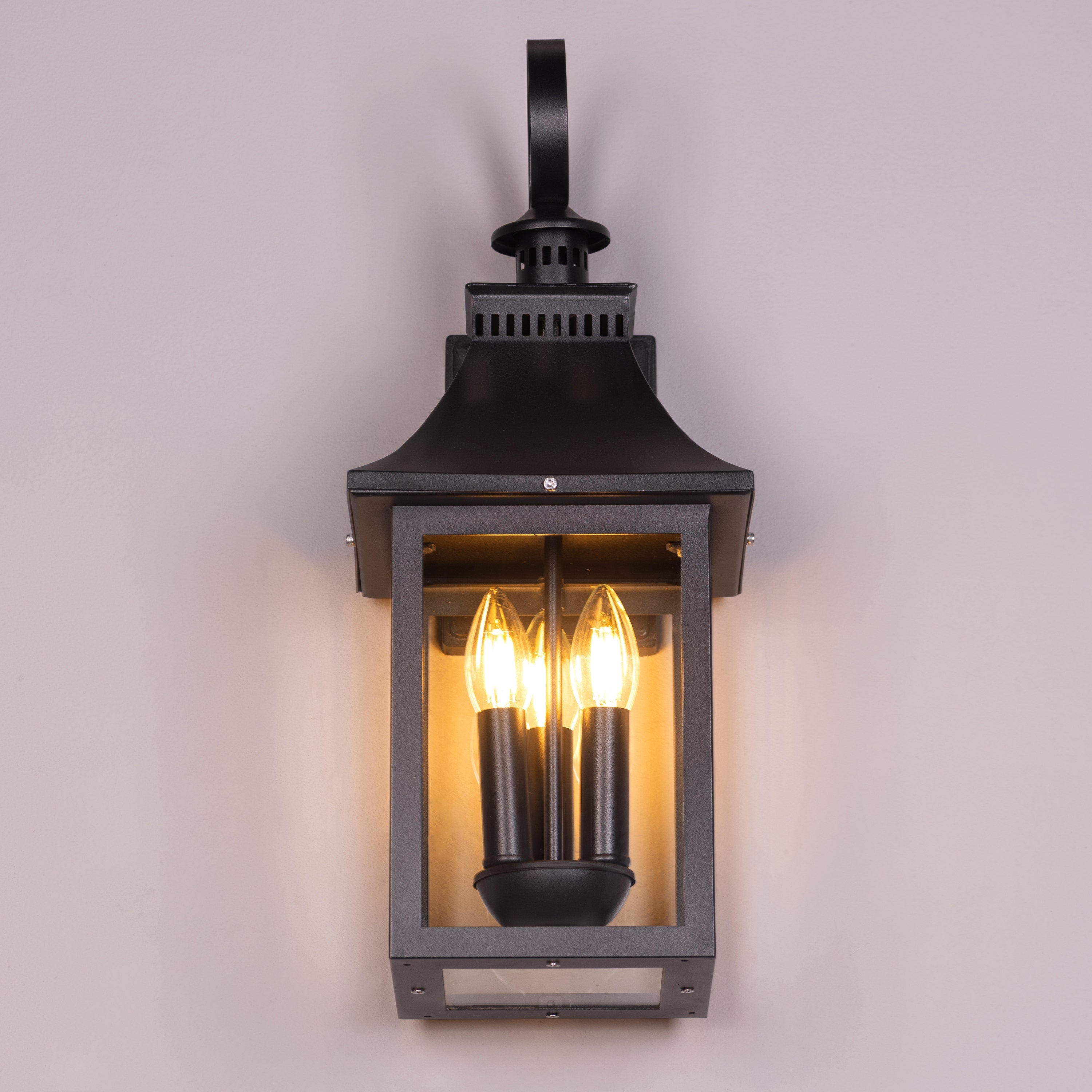 Good For You (Black) Clear Glass Wall Light