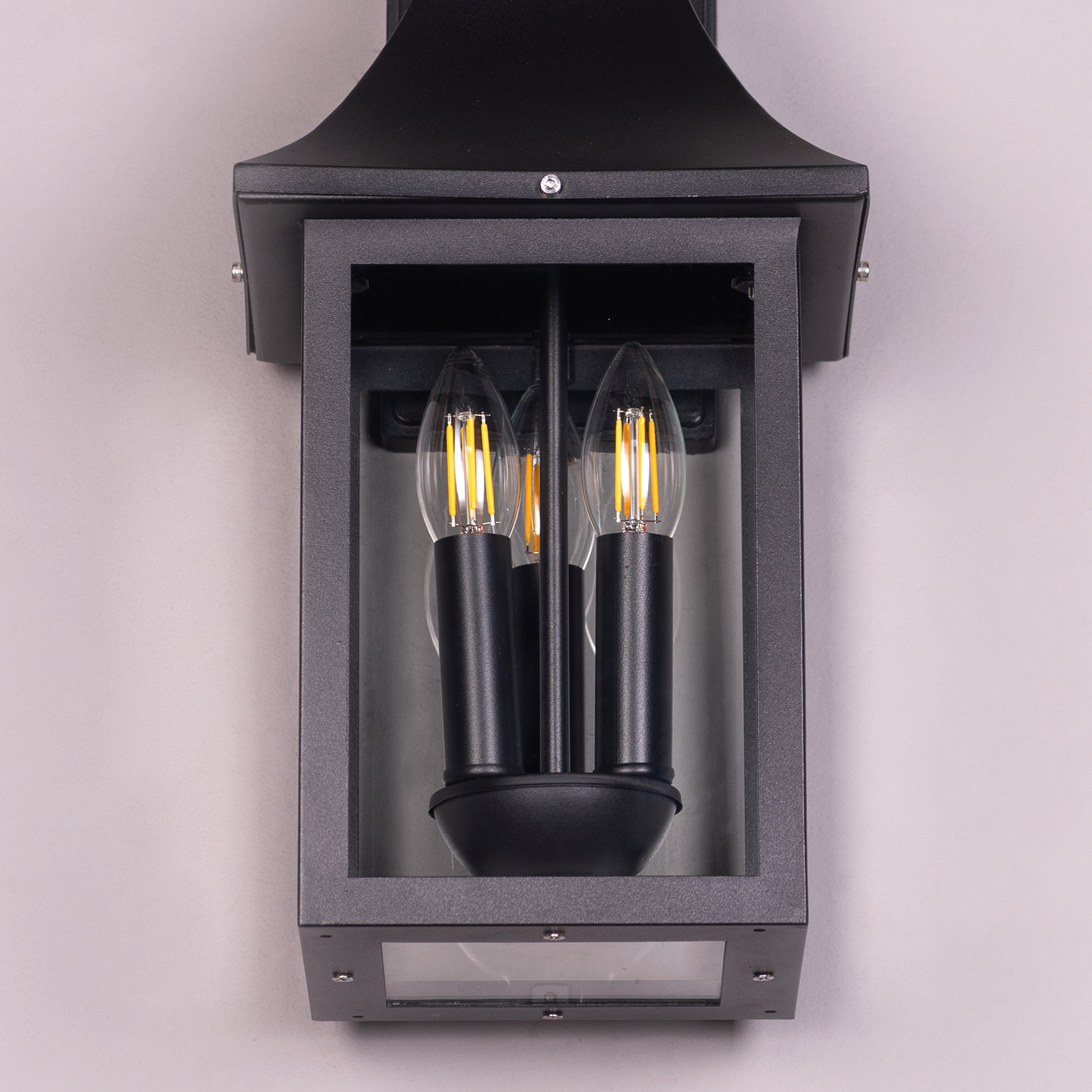 Good For You (Black) Clear Glass Wall Light