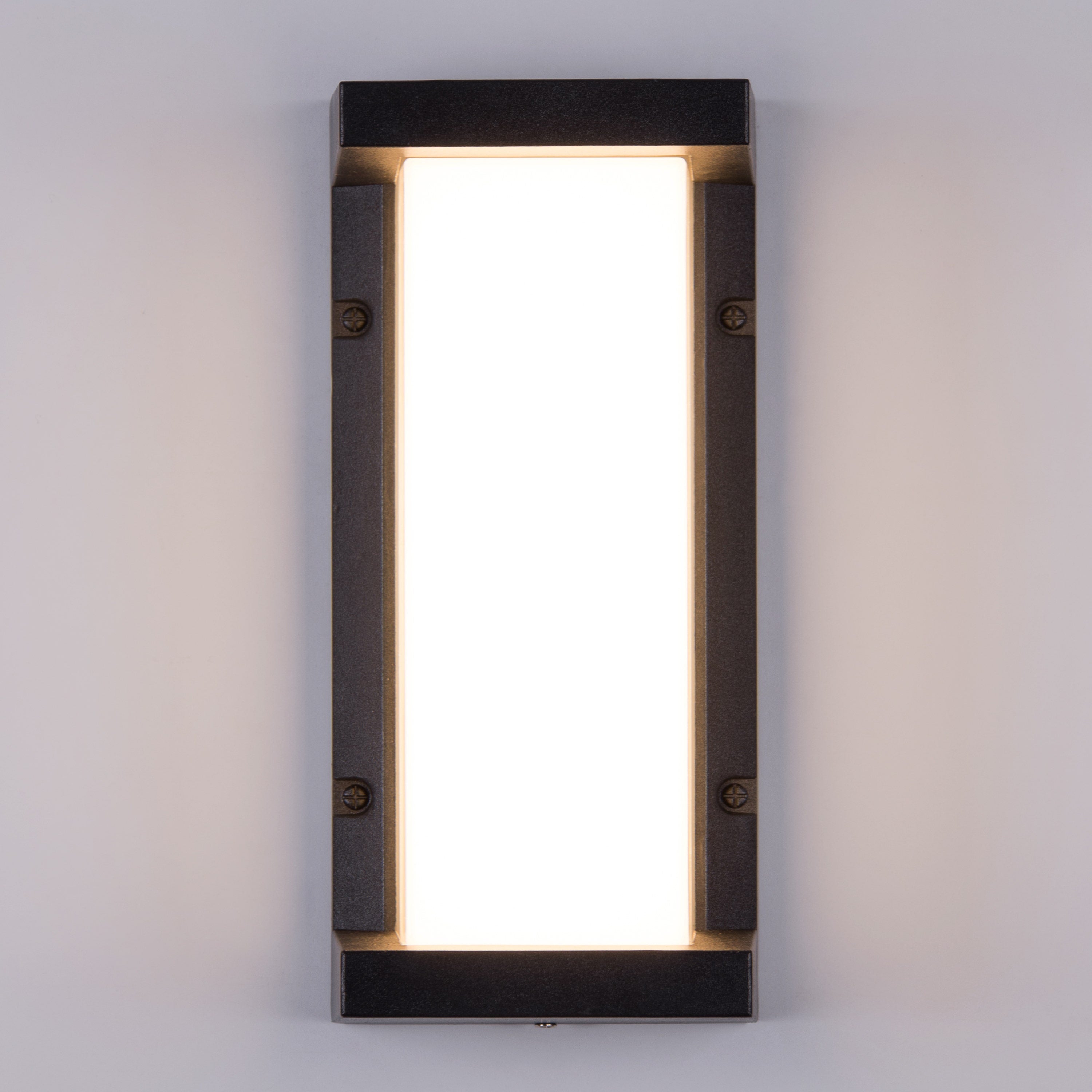 Come Alive (Big, Black, LED) Outdoor Wall Light