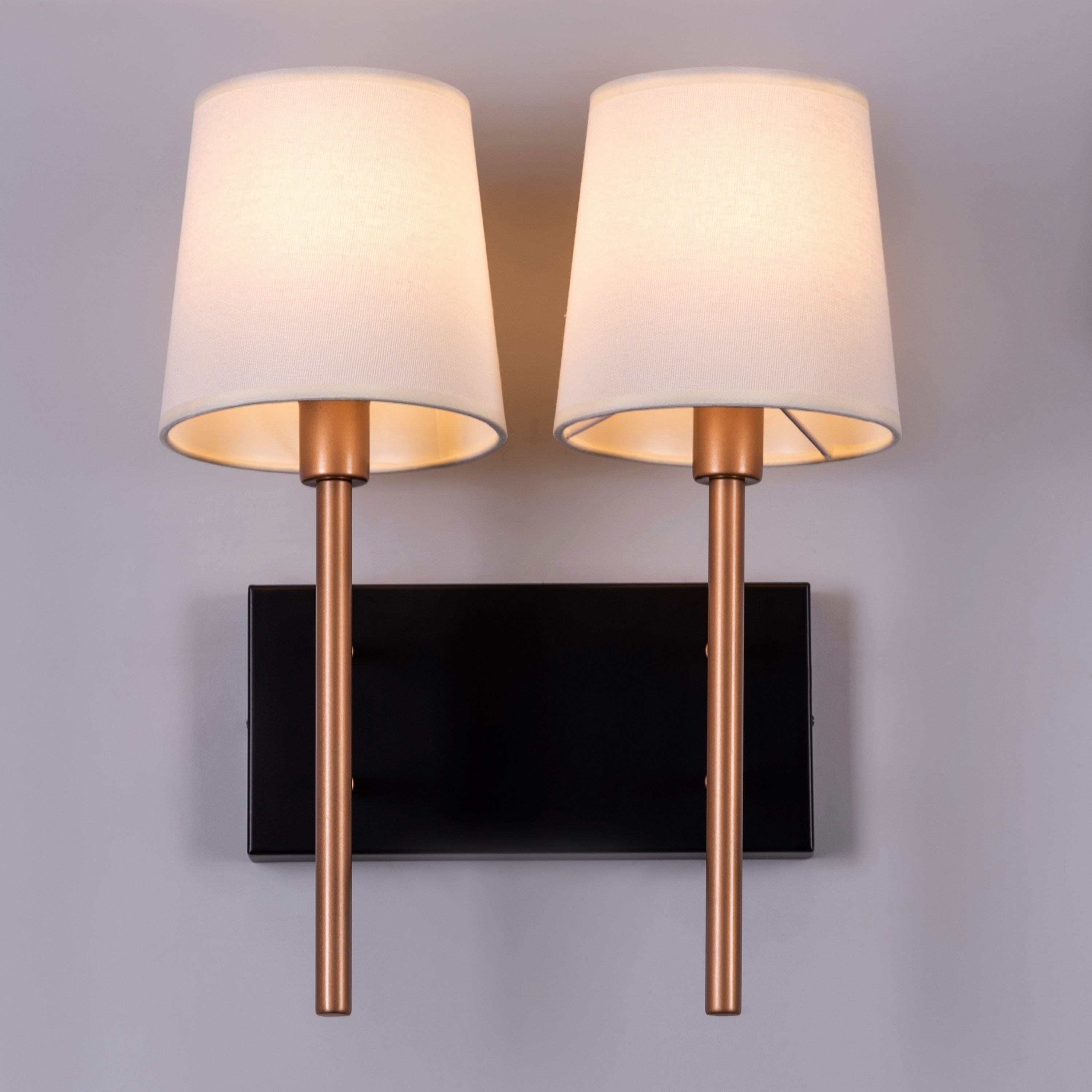 Dream Duo (Black, Gold) Wall Light