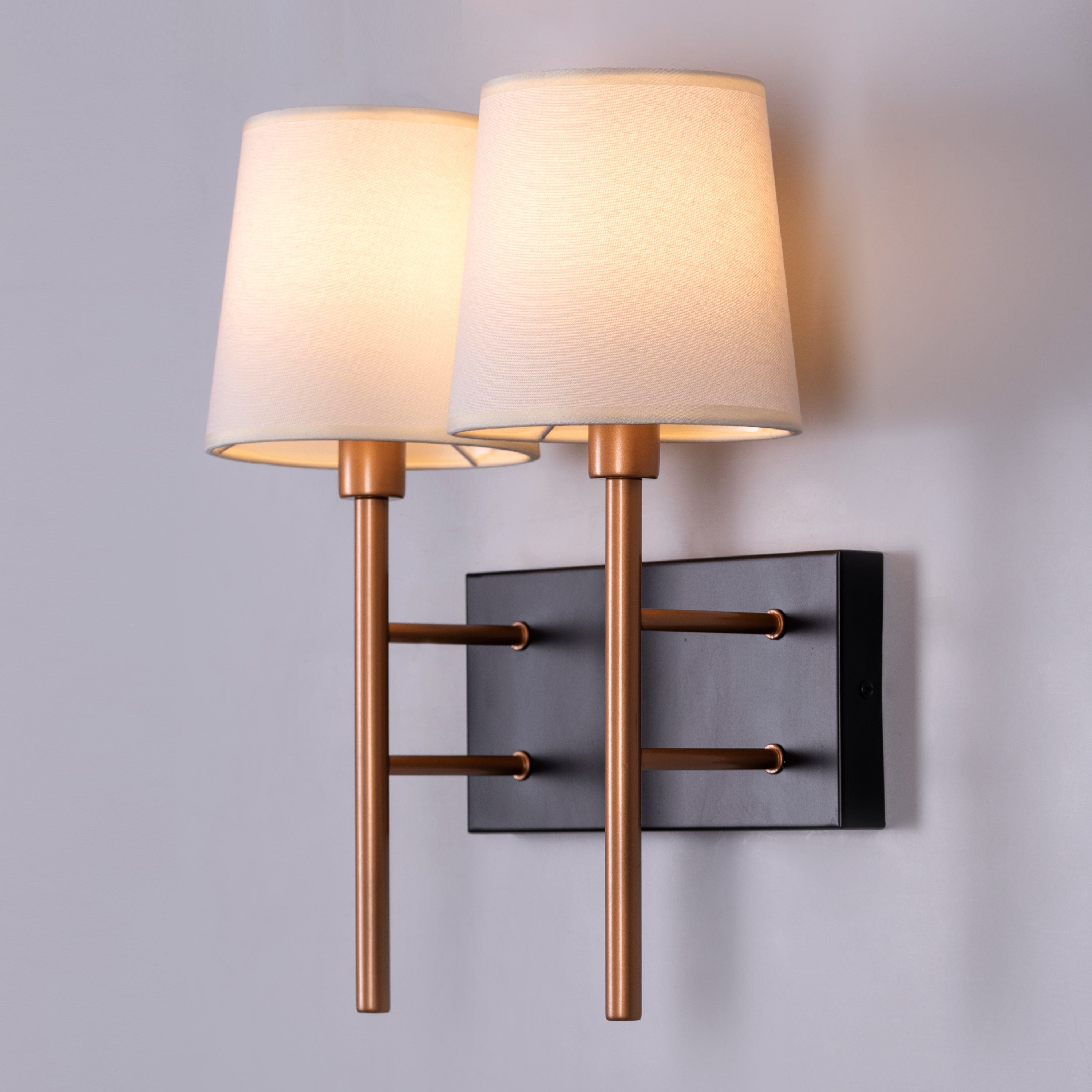 Dream Duo (Black, Gold) Wall Light