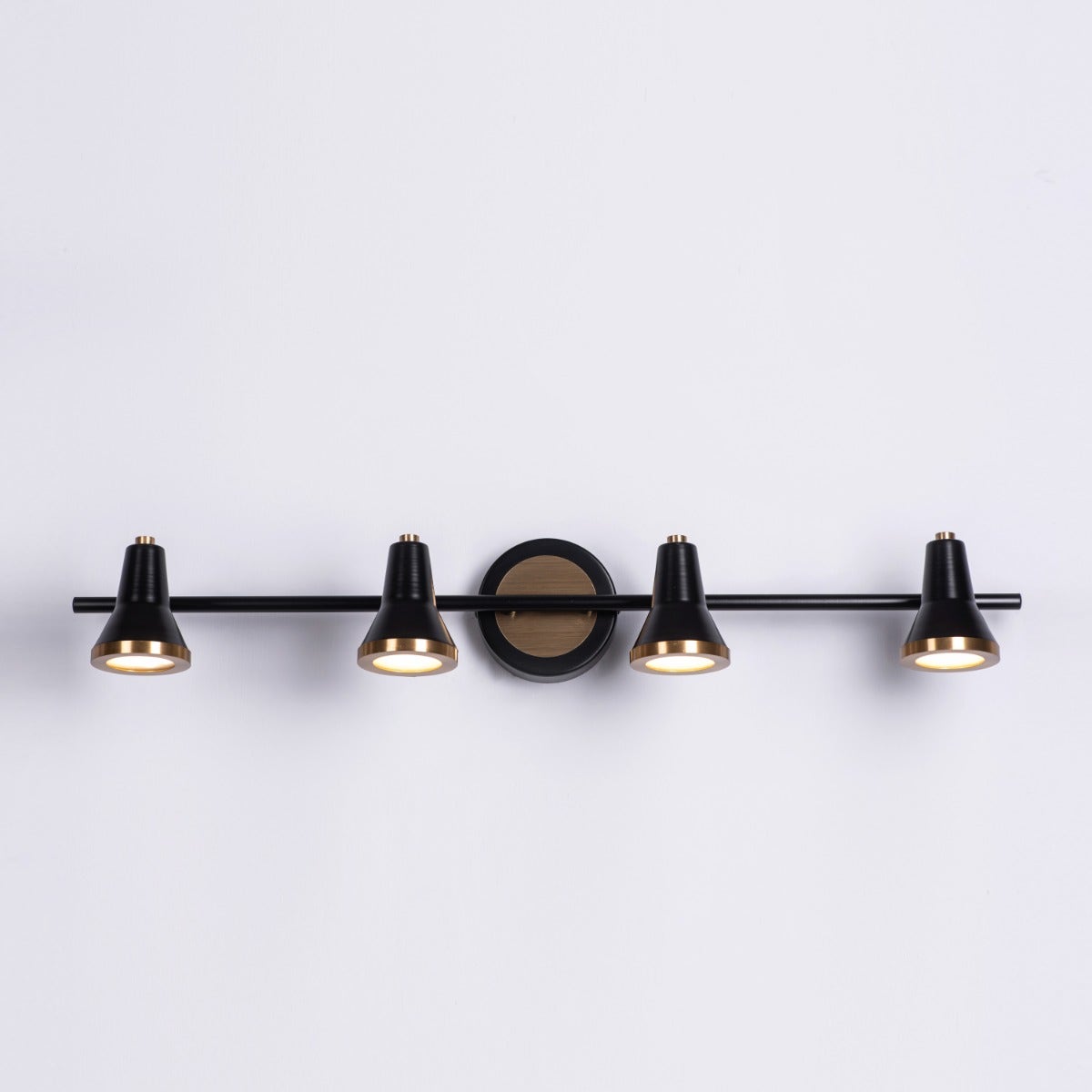 Beautiful Lives (Large, Black, Built-In LED) Picture Light