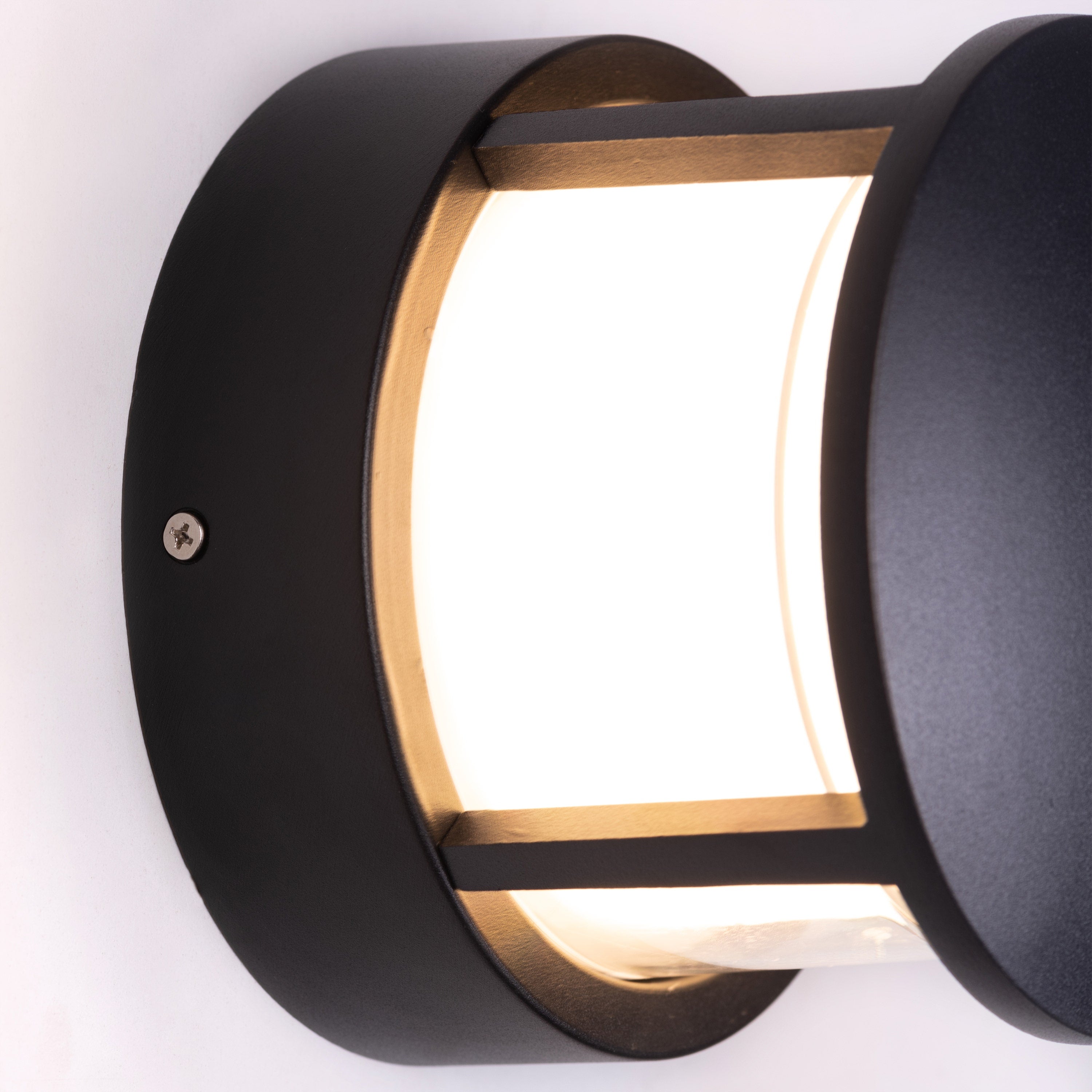 Maize (Black, Built-In LED) Indoor/ Outdoor Wall Light (IP65 Rated)