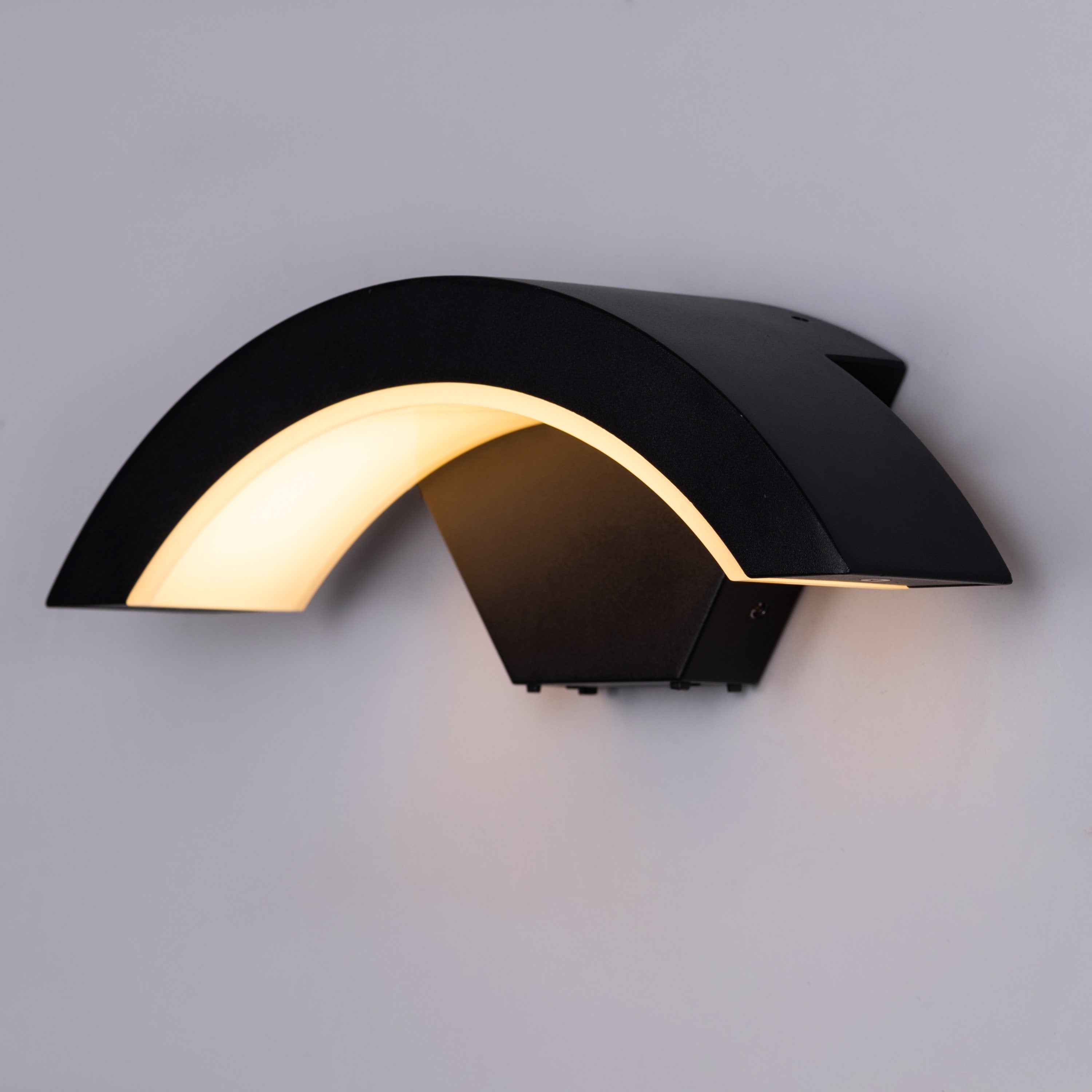 Oakridge (Black, Built-In LED) Outdoor/ Indoor Wall Light (IP65 Rated)