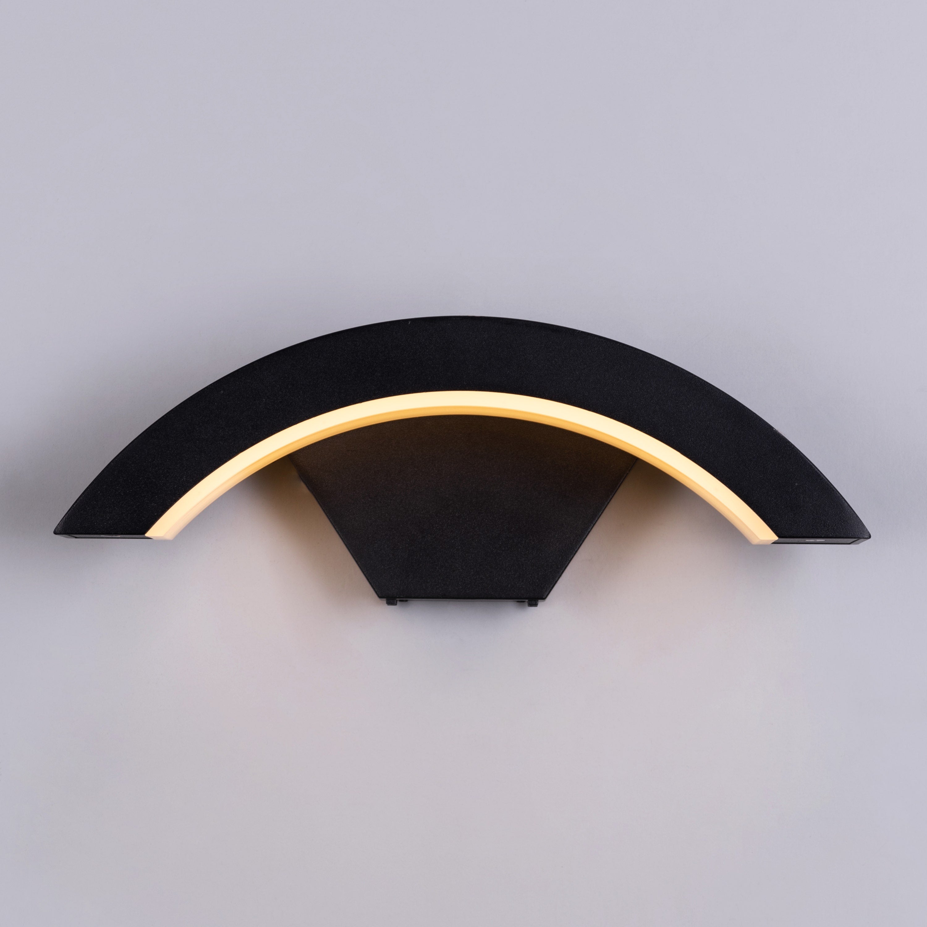 Oakridge (Black, Built-In LED) Outdoor/ Indoor Wall Light (IP65 Rated)