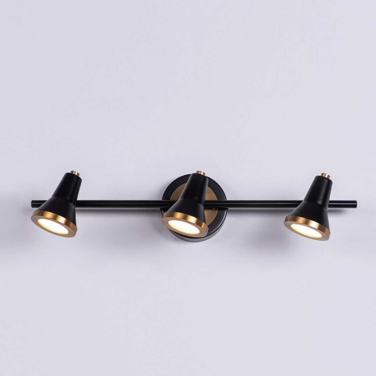 Beautiful Lives (Medium, Black, Built-In LED) Picture Light